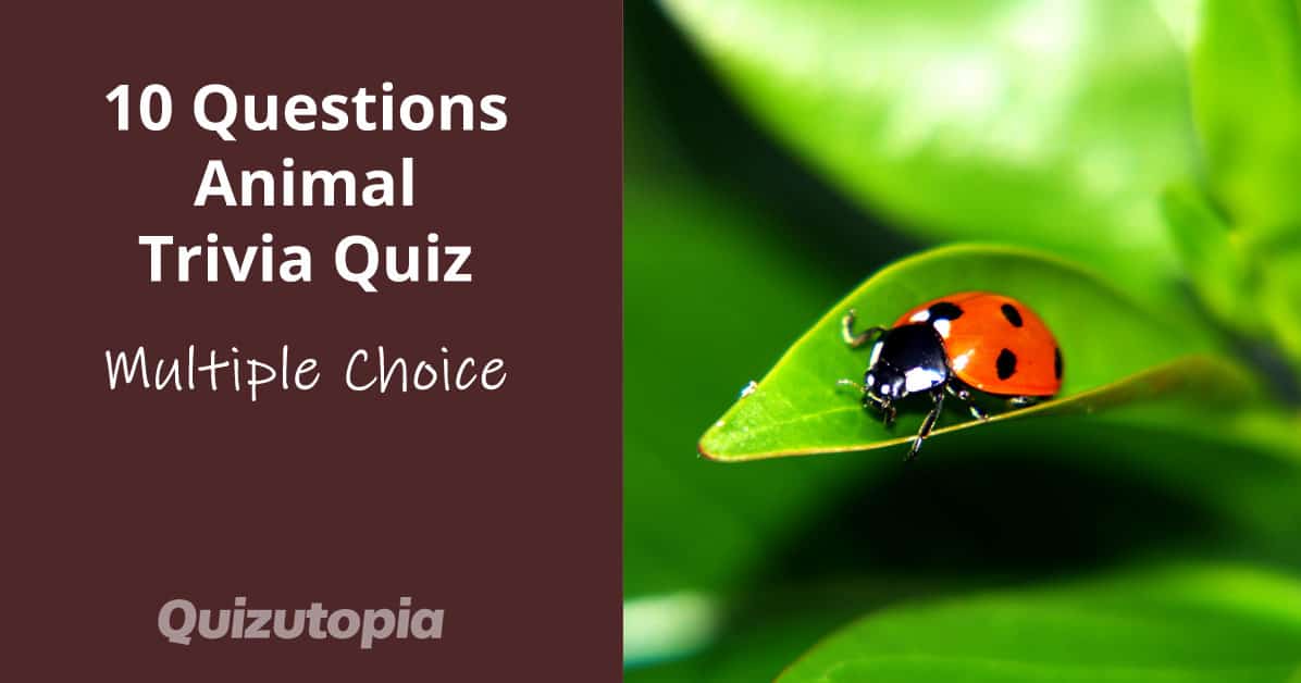 10 Multiple Choice Questions Animal Trivia Quiz