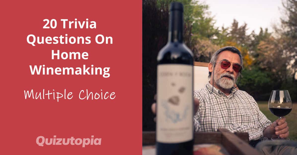 20 Trivia Questions On Home Winemaking