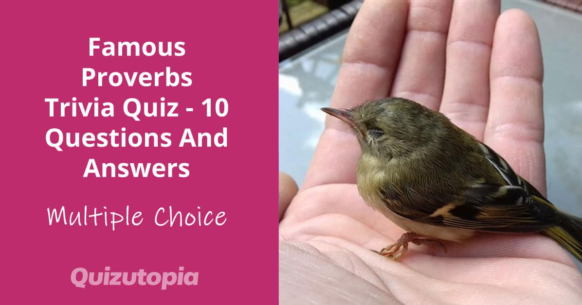 Famous Proverbs Trivia Quiz - 10 Questions And Answers