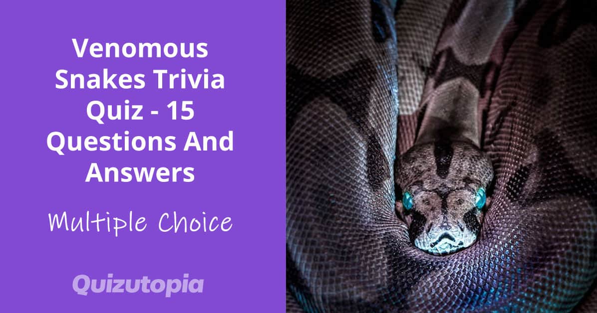 Venomous Snakes Trivia Quiz - 15 Questions And Answers