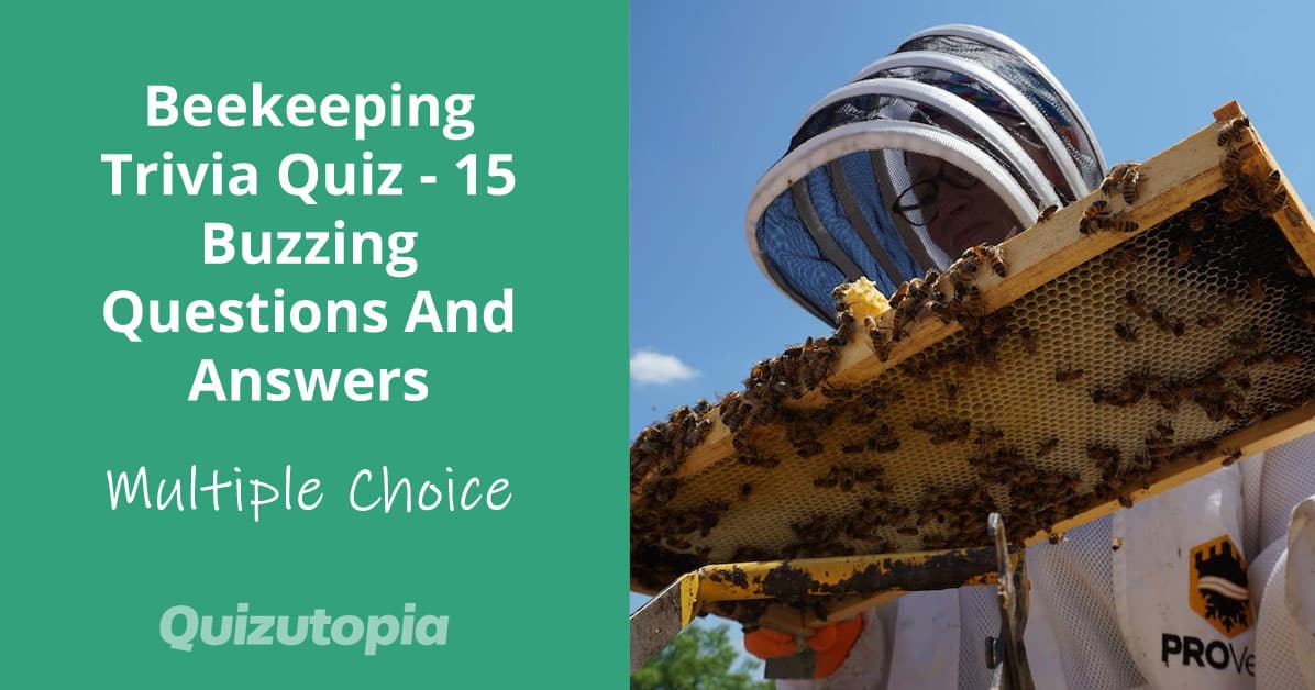 Beekeeping Trivia Quiz - 15 Buzzing Questions And Answers