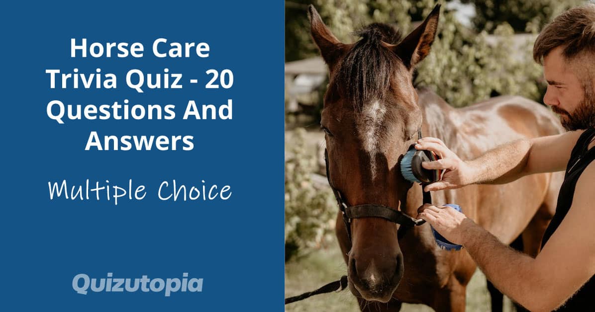 Horse Care Trivia Quiz - 20 Questions And Answers