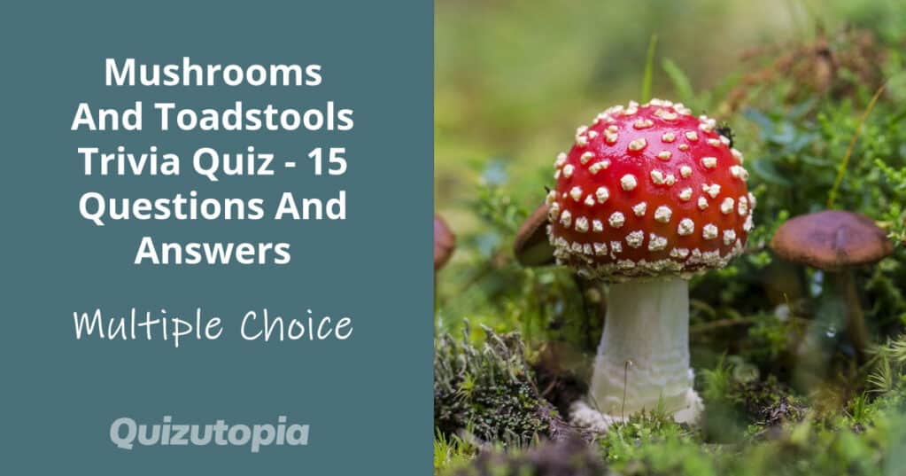 Herbs Trivia Quiz 15 Questions And Answers Quizutopia