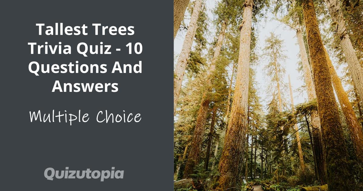 Tallest Trees Trivia Quiz - 10 Questions And Answers